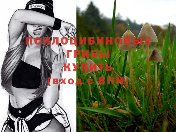 прущий лед Усинск