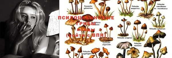 apvp Усолье-Сибирское