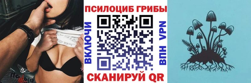 что такое   Тогучин  Псилоцибиновые грибы прущие грибы 